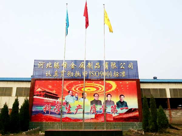 公司实力